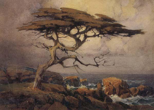 unknow artist Monterey Cypress Spain oil painting art